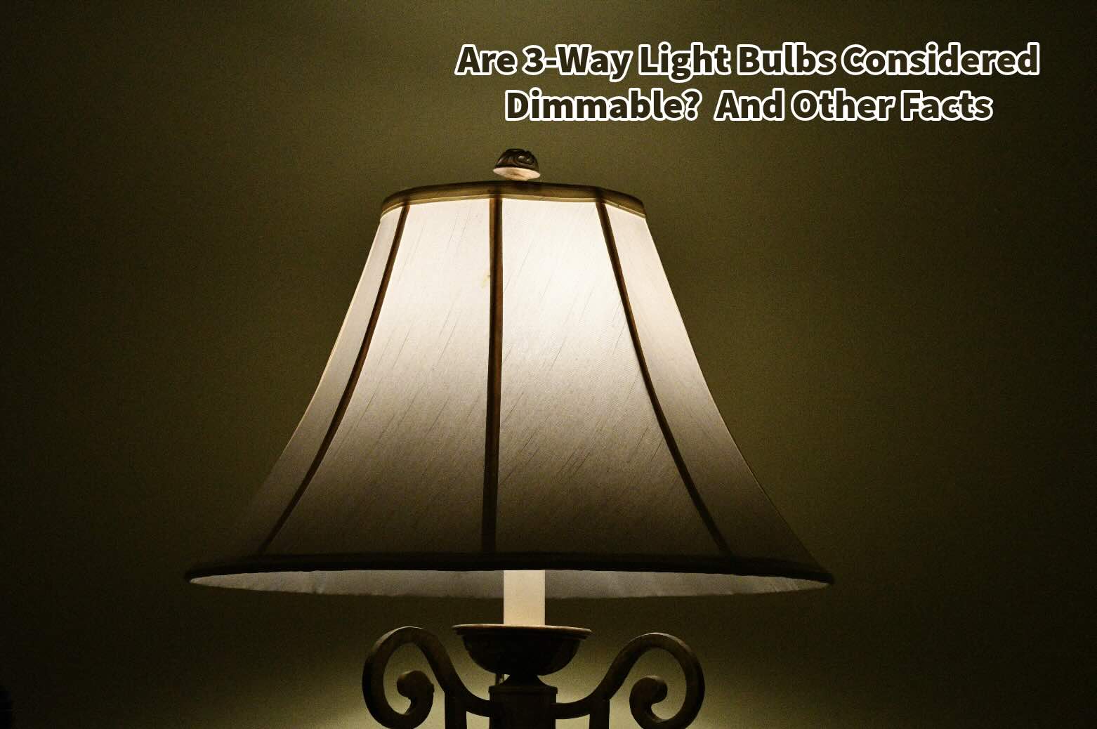 Are 3-Way Light Bulbs Considered Dimmable?  And Other Facts