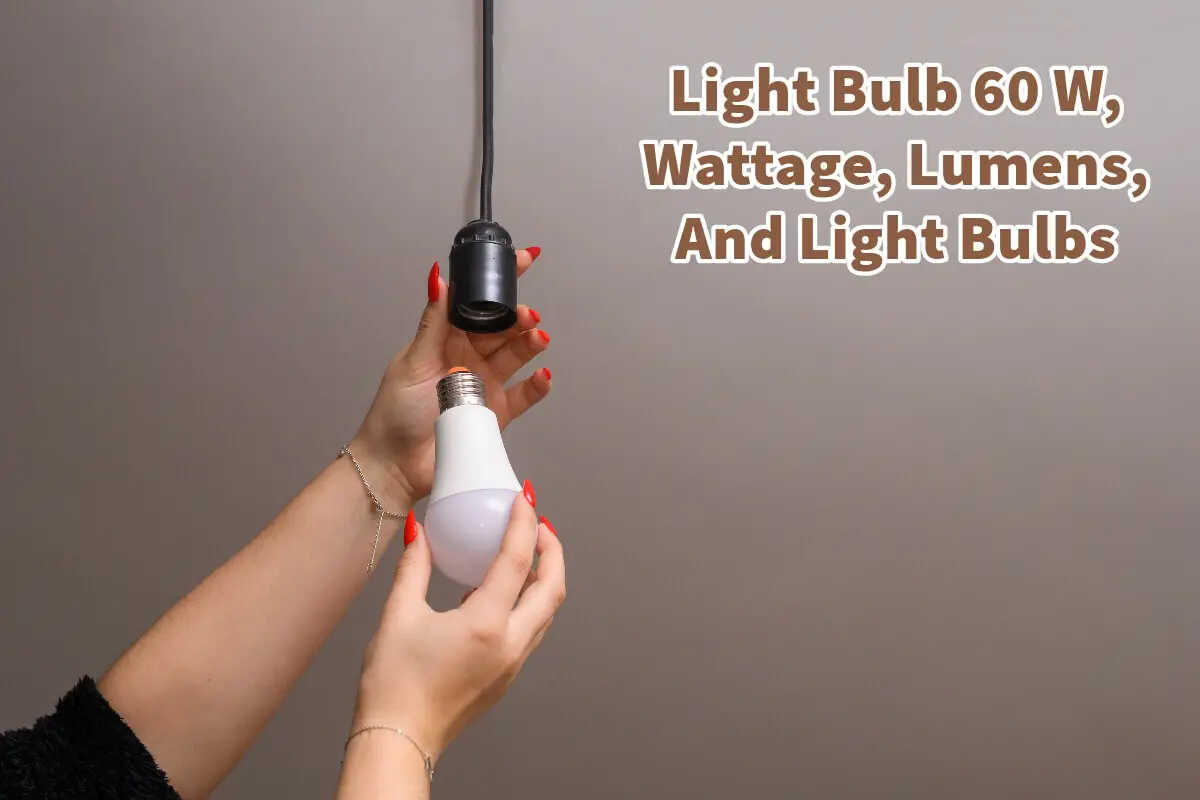 Light Bulb 60 W, Wattage, Lumens, And Light Bulbs