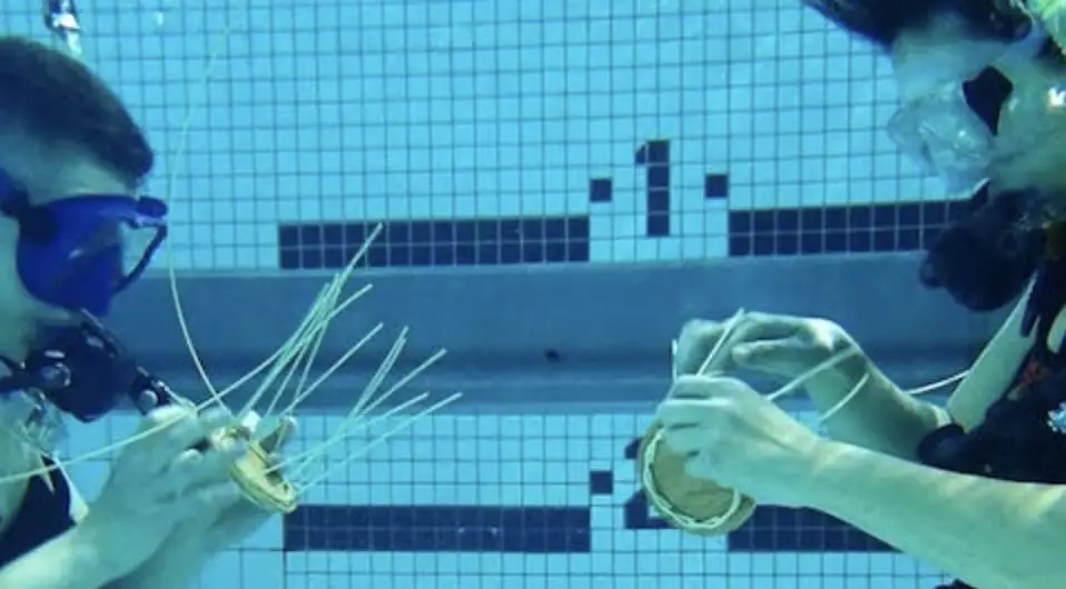 Underwater Basket Weaving