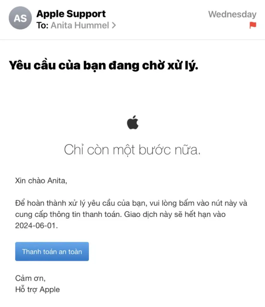 Apple Express Replacement Email, They Sent Me A Form In Vietnamese As They Had No English