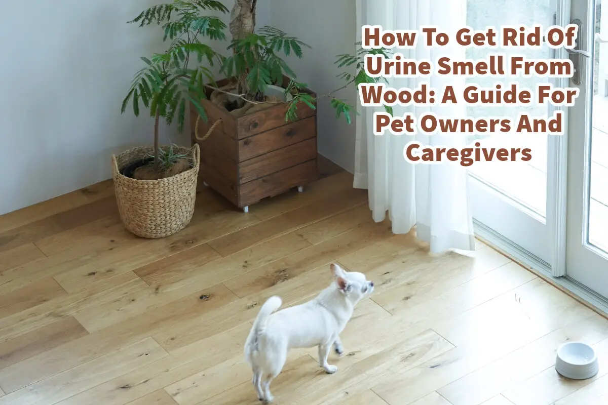 How To Get Rid Of Urine Smell From Wood: A Guide For Pet Owners And Caregivers