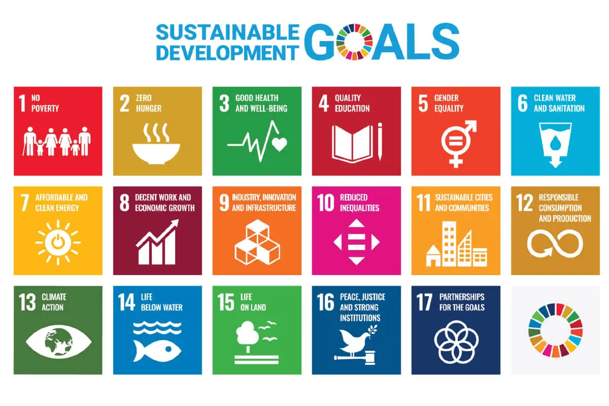 Understanding The UN’s 17 Sustainable Development Goals - Impact On Business