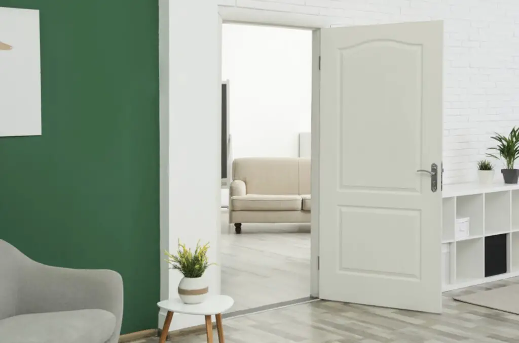 Interior Door Color Trends 2024